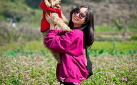 Chi tiền triệu nuôi thú cưng: Người yêu chưa có, nhưng chó, mèo phải có một con