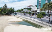 Vì sao nước đen lại tràn ra biển Hòn Chồng?