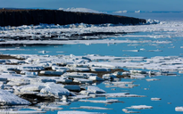 Hơn 40% thềm băng của Nam Cực giảm khối lượng trong 25 năm qua
