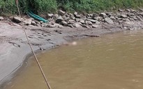 Khởi tố đối tượng sát hại thiếu nữ, phân xác phi tang ở sông Hồng