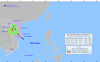 Áp thấp nhiệt đới mạnh thành bão số 5, giật cấp 11 trên Biển Đông