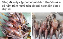 Hà Tĩnh: Nhiều người dân bị xử phạt vì rao bán chim trời trên mạng xã hội