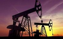 Giá xăng dầu hôm nay 29.10.2023: Tuần giảm 2 - 4%
