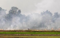Báo động khói mù xuyên biên giới, ASEAN quyết 'xóa sổ' tập quán đốt đồng