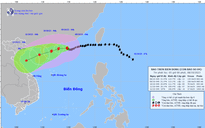 Tin tức thời tiết hôm nay 8.10.2023: Bão số 4 gây gió giật cấp 16