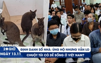 Xem nhanh 20h ngày 13.11: Trăn trở về định danh số nhà | Chuột túi ở Cao Bằng được chăm sóc thế nào?