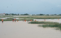 Ninh Thuận: Một học sinh lớp 6 bị nước lũ cuốn mất tích