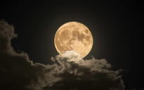 Sắp xuất hiện Trăng Hải Ly: Những lần trăng tròn đều có các tên gọi đặc biệt