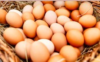 Chuyên gia chia sẻ những lý do nên ăn trứng