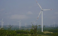 Quảng Trị: Dự án điện gió xin bán hơn 50% cổ phần cho doanh nghiệp Trung Quốc