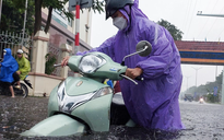 Tin tức thời tiết hôm nay 8.11.2023: Từ Quảng Trị đến Ninh thuận mưa rất lớn