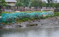 Đà Nẵng: Sạt lở trên sông Phú Lộc đe dọa tuyến đường giao thông