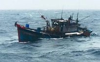 Tàu cá bị chìm tại Hoàng Sa, 11 ngư dân Quảng Ngãi may mắn thoát chết