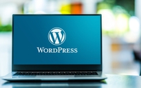 WordPress 6.4.2 vá lỗ hổng bảo mật nghiêm trọng 