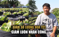 Lý do nhà vườn đồng loạt giảm số lượng hoa tết, cắt giảm nhân công tối đa