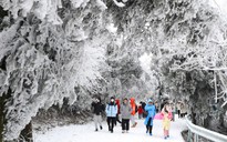 Tuyết rơi nhiều nơi trong đợt lạnh bất thường ở Trung Quốc