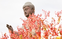 Đại tượng Phật bằng đồng cao 120 m thu hút du khách Việt khi đến Nhật Bản