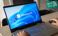 Microsoft xác nhận lỗi Wi-Fi trong bản cập nhật Windows 11