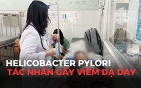 Helicobacter Pylori có thể làm thủng dạ dày tá tràng: Bố mẹ cần lưu ý điều gì khi chăm sóc trẻ?