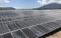 Cả trăm dự án điện mặt trời phê duyệt không có căn cứ