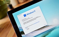 Windows 11 có thể cài đặt lại từ Windows Update