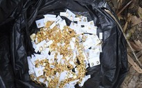 Vụ cướp tiệm vàng tại Trà Vinh: Thu giữ hơn 8 lượng vàng giấu trong bụi cây