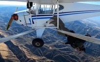 6 tháng tù cho YouTuber dàn cảnh rơi máy bay câu view ở Nam California