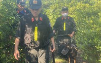 Hà Tĩnh: Vây ráp khu rừng ở Cẩm Lạc, bắt được 2 phạm nhân trốn trại