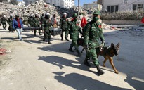 Việt Nam hỗ trợ Thổ Nhĩ Kỳ và Syria 200.000 USD để khắc phục hậu quả động đất