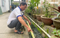 Quảng Ngãi: Nước thải sinh hoạt của Bệnh viện Nội tiết rò rỉ qua khu dân cư