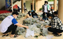 'Giải cứu’ hàng chục tấn cam sành mất giá tại tỉnh Vĩnh Long