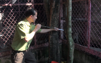 TP.HCM: Người dân bàn giao 5 cá thể khỉ cho kiểm lâm thả về tự nhiên