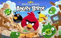 Trò chơi Angry Birds cổ điển dần ‘bốc hơi’ khỏi các cửa hàng ứng dụng