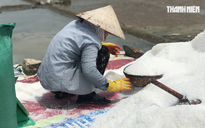 Quảng Ngãi: Giá muối tăng kỷ lục, diêm dân không có muối để bán