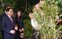 Loài hoa lan Singapore đặc biệt mang tên Thủ tướng Phạm Minh Chính và phu nhân