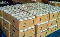 Mỹ vẫn yêu cầu dừa tươi Việt Nam phải 'cạo trọc' khi xuất khẩu