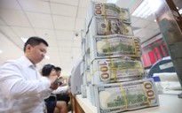 Giá USD hôm nay 13.3.2023: Đô tự do tăng vọt lên sát ngân hàng