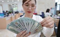 Giá USD hôm nay 16.3.2023: Lượng USD dồi dào, giá đứng yên