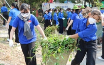 Ngày Chủ nhật xanh: Thanh niên chung tay làm sạch môi trường