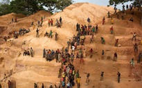 9 người Trung Quốc bị sát hại tại mỏ vàng ở Cộng hòa Trung Phi