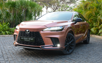 Cận cảnh Lexus RX 2023 bản 'xịn' nhất tại Việt Nam, giá 4,94 tỉ đồng