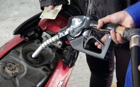 Giá xăng dầu hôm nay 3.3.2023: Quay đầu giảm nhẹ