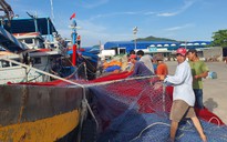 Bà Rịa-Vũng Tàu: Tháng 5.2023 chấm dứt tàu cá khai thác hải sản vùng biển nước ngoài