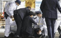Ngư dân gây sốt tại Nhật sau vụ Thủ tướng Kishida suýt trúng bom khói