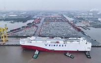 VinFast xuất khẩu 1.879 xe VF8 tiếp theo tới Bắc Mỹ