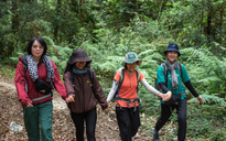 Xu hướng du lịch 'chữa lành' của người trẻ