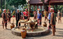Bình Phước: Phục dựng lễ hội mừng lúa mới của người S’tiêng