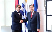 Việt Nam và Cộng hòa Đông Uruguay tăng cường hợp tác trên diễn đàn quốc tế