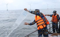 Bạc Liêu: Liên tục thả hàng triệu tôm giống ra biển nhằm tái tạo nguồn lợi thủy sản