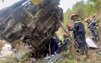 Phú Yên: Xe tải lật vào vách núi, 4 người chết, 5 người bị thương